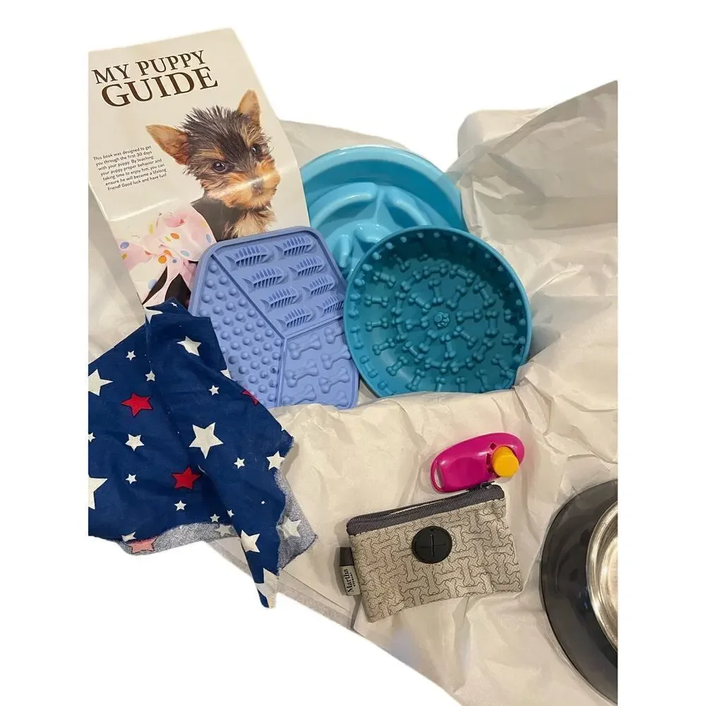 Puppy beginning items  10 puppy essentials for your puppy